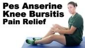 Pes Anserine Knee Bursitis Stretches \u0026 Exercises - Ask Doctor Jo