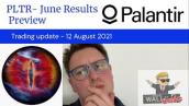 PLTR: Palantir Technologies June Earnings Preview