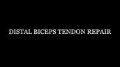 Distal Biceps Tendon Repair