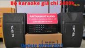 Bộ karaoke gia đình giá rẻ chỉ 2450k | Amply 203N + loa bmb450 từ kép