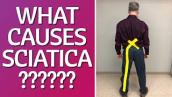 This is Causing Your Sciatica/Back Pain! How to Stop