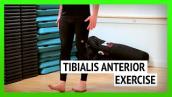 Tibialis Anterior Exercise for Runners [Ep52]