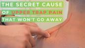 Upper Trap Pain? The SECRET Cause When You Can