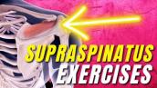 13 Supraspinatus Rotator Cuff Tear Stretches \u0026 Exercises (Beginner to Advanced)