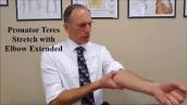 Pronator Teres Stretch: Elbow in Extension