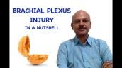 Adult Brachial Plexus Injuries in a nutshell