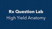 Rx Question Lab - High Yield Anatomy