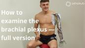 How to examine the brachial plexus - full version — watch orthohub examinations with Tom Quick