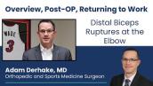 Distal Biceps Ruptures at the Elbow: Overview, Post-OP,  Returning to Work