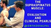 Supraspinatus Muscle Evaluation with Paul Marquis PT