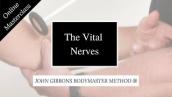 The Vital Nerves Online Masterclass with John Gibbons - Bodymaster