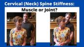 Cervical (Neck) Spine Stiffness: Muscle or Joint?