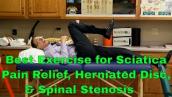 Best Exercise For Sciatic Pain Relief, Herniated Disc, \u0026 Spinal Stenosis