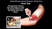 Distal biceps tendon tear, Hook Test - Everything You Need To Know - Dr. Nabil Ebraheim