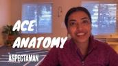 HOW TO STUDY ANATOMY IN PHYSICAL THERAPY SCHOOL | Anatomy Study Tips