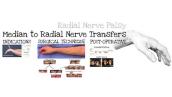 Median to Radial Nerve Transfers (Feat. Dr. Mackinnon)