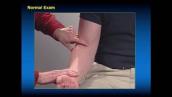679 Examination of the Normal and Injured Elbow