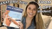 HOW TO GET AN A IN ANATOMY | how to study EFFECTIVELY | anatomy study tips DPT student