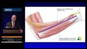 FORE 2017 - Forearm Fractures - What Approaches