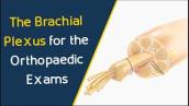 The Brachial Plexus for the Orthopaedic Exams