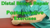 Distal biceps Tendon Repair Initial Postoperative Stretching Exercises
