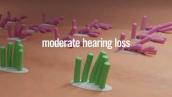 Understanding Hearing Loss in Children - Nemours Children