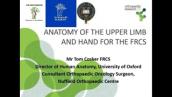 Complex Upper Limb Anatomy for Orthopaedic Exams