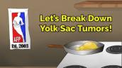 Let’s Break Down Yolk Sac Tumors! (Step 1, COMLEX, NCLEX®, PANCE, AANP)