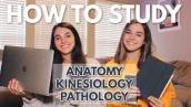 How We Study in Physical Therapy School | Anatomy, Kinesiology, Pathology