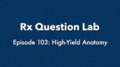 Rx Question Lab - High-Yield Anatomy