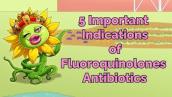 5 Important Indications of Fluoroquinolones Antibiotics (Step 1, COMLEX, NCLEX®, PANCE, AANP)