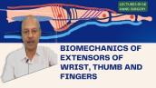 Lectures @ GK Hand Surgery:Biomechanics of extensors of wrist, thumb and fingers- Elaborate \u0026 Simple