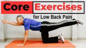 7 Simple Core Exercises That PREVENT Low Back Pain