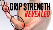 Grip Strength and Forearm Training Revealed (A Scientific Breakdown)
