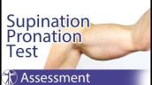 Supination Pronation Test | Distal Biceps Tendon Rupture