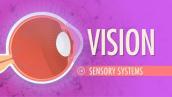 Vision: Crash Course Anatomy \u0026 Physiology #18