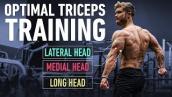 How To Build Huge Triceps with Optimal Training Technique