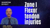 Repair of Zone I Flexor tendon injuries and understanding the protocols of management
