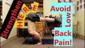 Exercises for the Posterior Chain Muscles - Avoid Low Back Pain