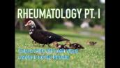 Rheumatology USMLE Step 2CK High Yield UWorld Audio Lecture Review video