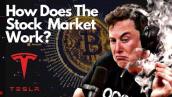 Understand Share Market in 5 Minutes|US Share Market|Elon Musk Share Price|Bitcoins|The DOX