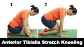 Anterior Tibialis Stretch Kneeling - Ask Doctor Jo