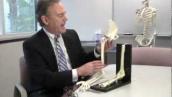 New Way for Repairing a Ruptured Bicep Tendon - Mayo Clinic
