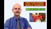 Free Functioning Muscle Transfer (FFMT) (Gracilis) for Brachial Plexus injuries