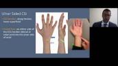 Elbow and Wrist Pain in the Everyday Athlete
