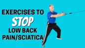 7 Absolute Best Exercises for Stopping Low Back Pain \u0026 Sciatica with Everyday Chores
